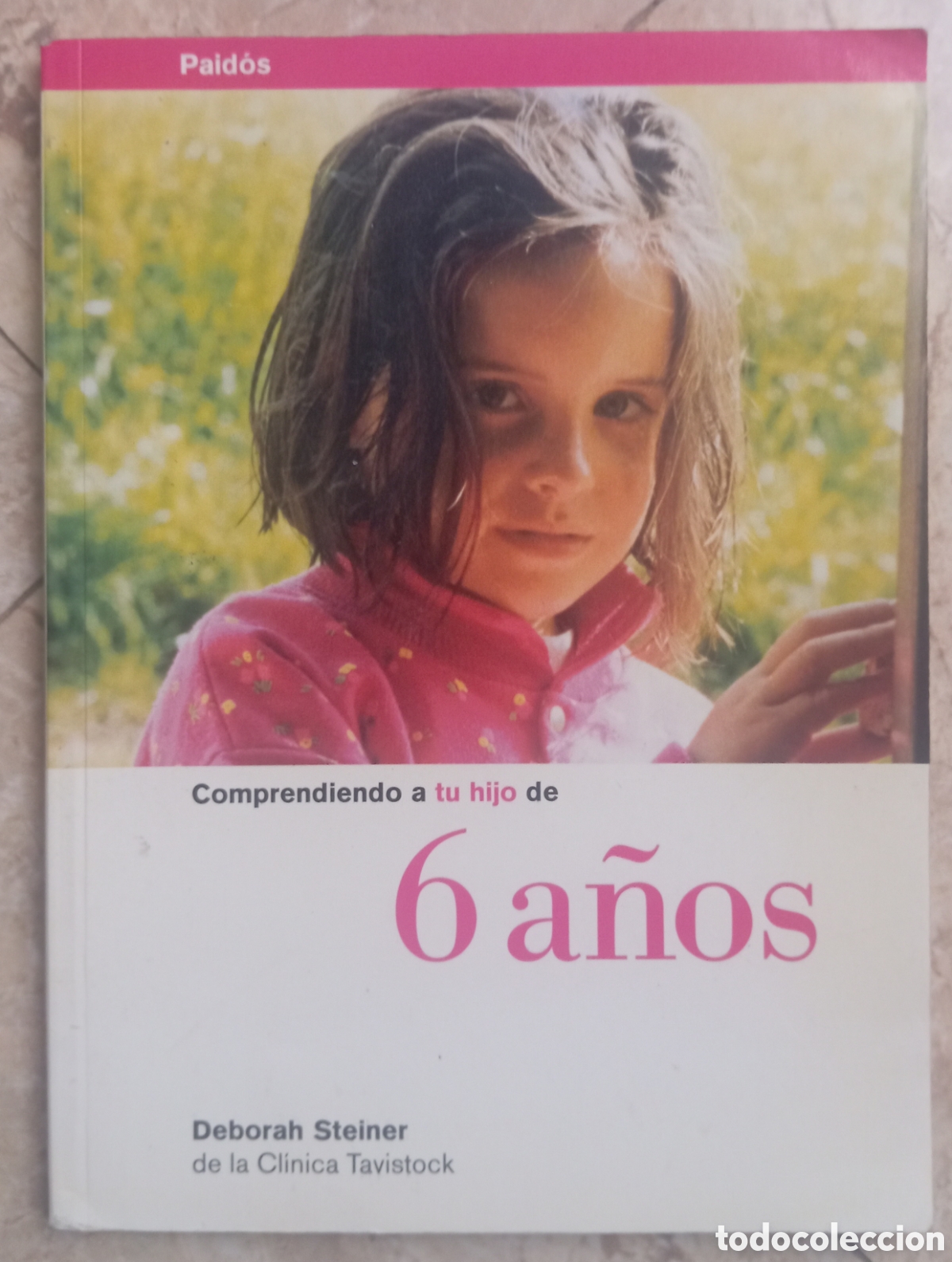 Libros: COMPRENDIENDO A TU HIJO DE 6 A&Ntilde;OS - STEINER