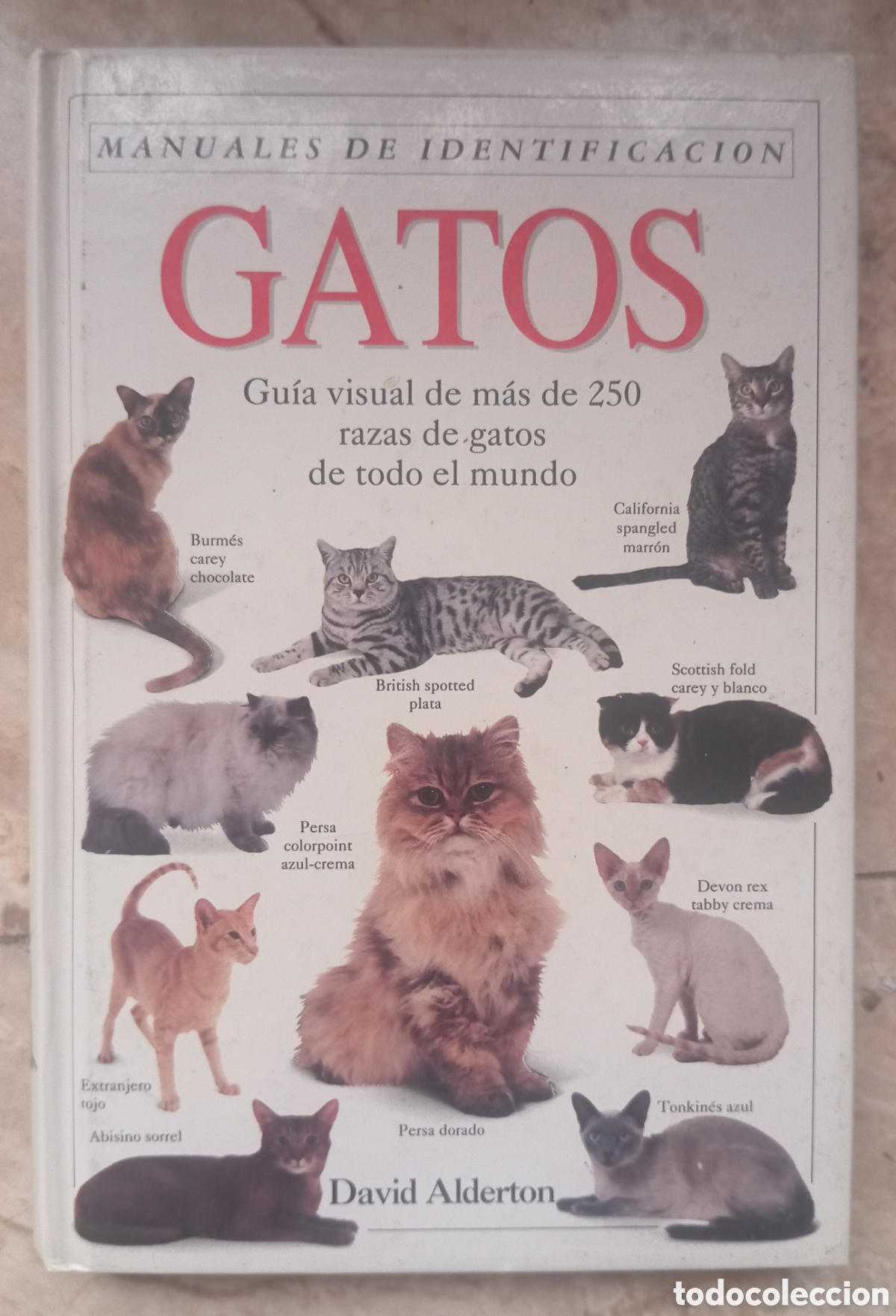Libros: GATOS MANUALES DE IDENTIFICACION - ALDERTON