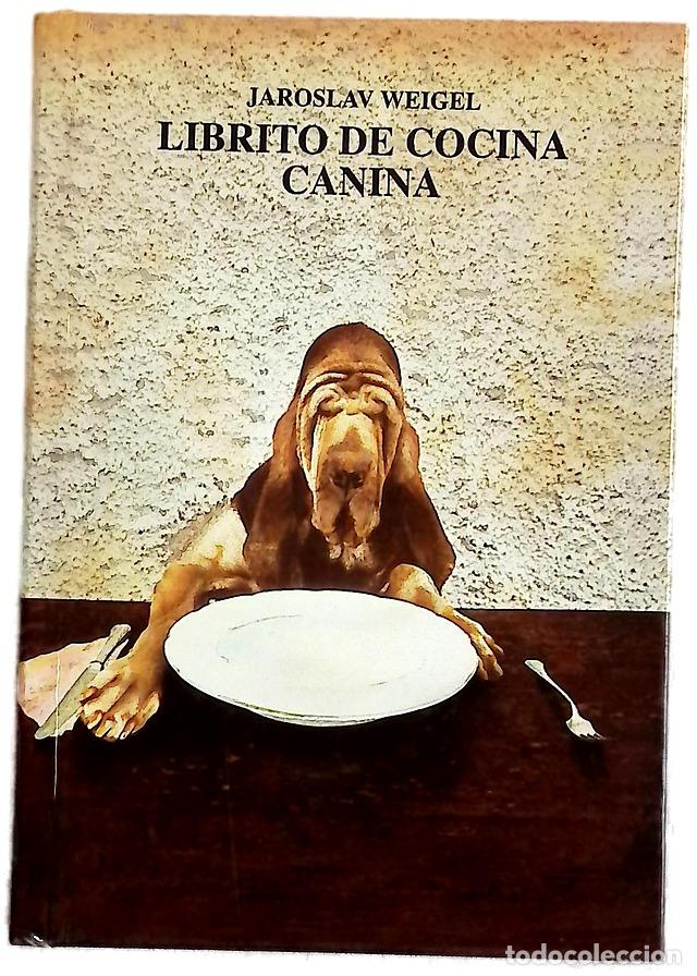 Libros: Librito de cocina canina para perros adultos, peque&ntilde;os, medianos y un pel&iacute;n m&aacute;s grandes (de 2 a 2...