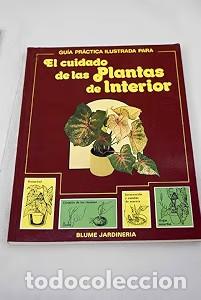 books: El Cuidado de las Plantas de Interior - Dolores D&iacute;az - Blume - Jardiner&iacute;a