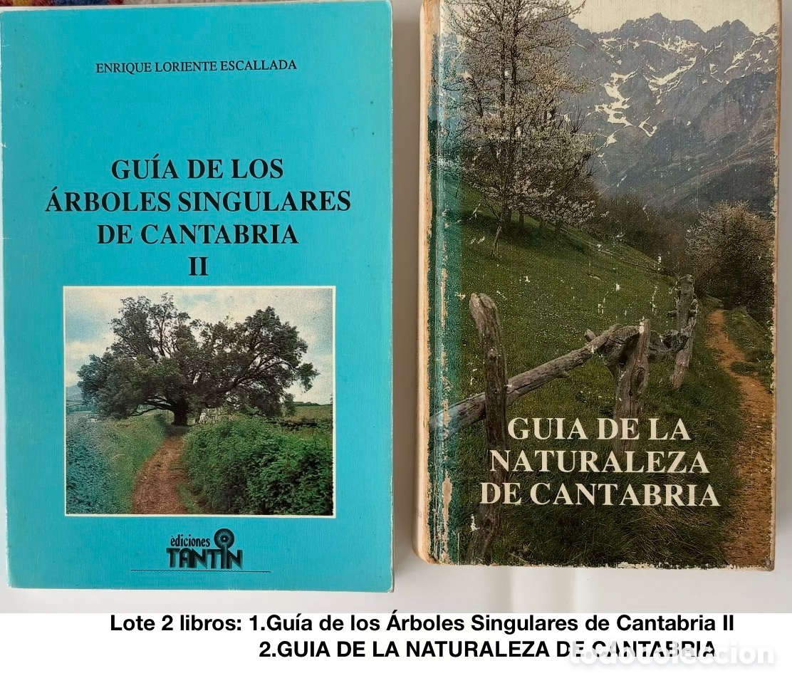 books: Lote 2 libros: 1.Gu&iacute;a &Aacute;rboles Singulares de Cantabria II 2 GUIA DE LA NATURALEZA DE CANTABRIA