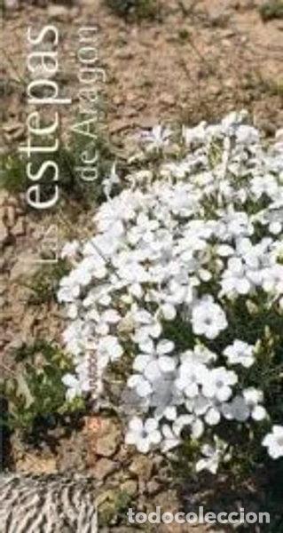 Livros em segunda m&atilde;o: Las estepas de Arag&oacute;n- 9788496007819