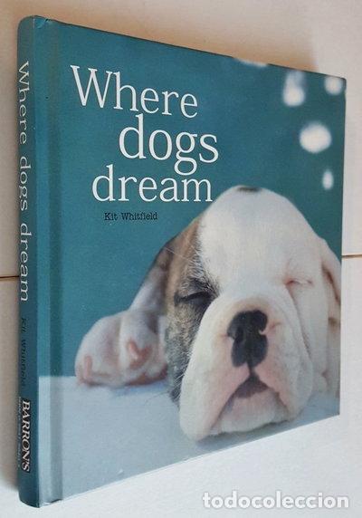 Livros em segunda m&atilde;o: Where Dogs Dream- 9780764156403