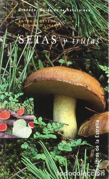 Livros em segunda m&atilde;o: Setas y trufas- 9788478072811