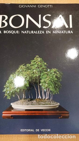 Libros: Bonsai: El bosque, naturaleza en miniatura- 9788431512859