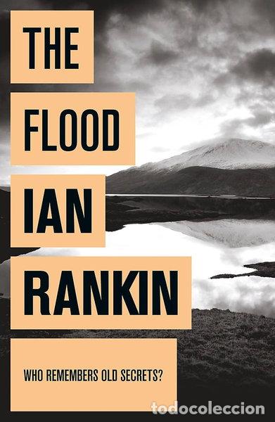 Libri di seconda mano: The flood- 9780752883694