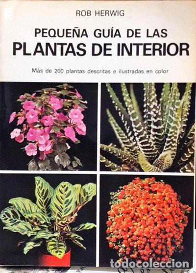 Libros: Peque&ntilde;a Gu&iacute;a Plantas de Interior- 9788428206167