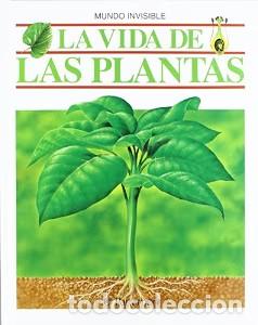 Libros: La Vida de las Plantas - Maria Angels Julivert - Parramon - Mundo Invisible, 656