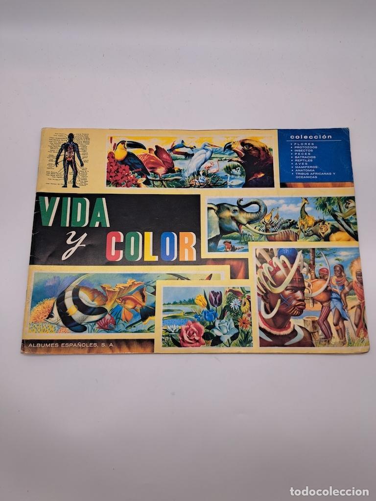 Libros: VVAA. - Vida y color.