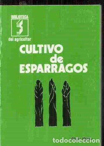 Livres: Cultivo de esp&aacute;rragos- 9788430202713