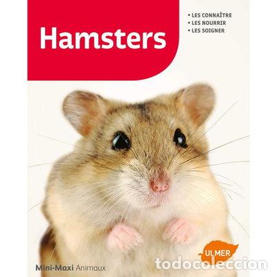 Libri di seconda mano: Hamsters- 9782841389735
