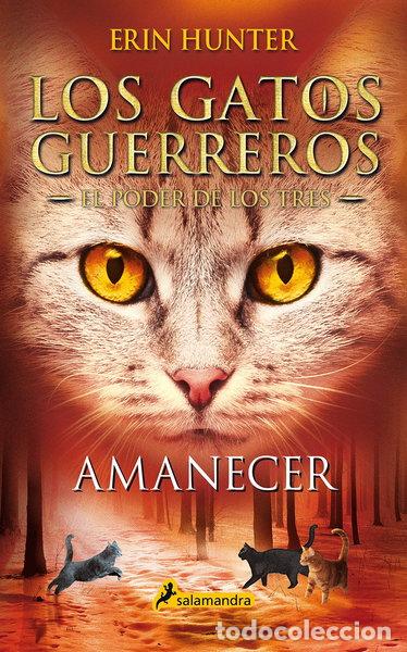 Libros: Amanecer- 9788418174056