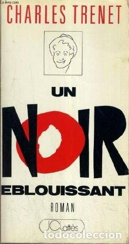 books: Un noir &eacute;blouissant- 9782709608473