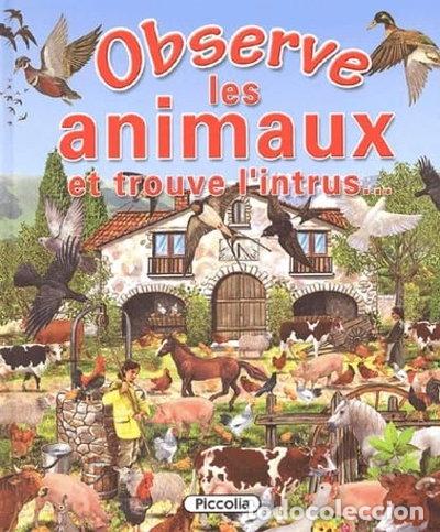 Libros: Observe les animaux et trouve l'intrus- 9782845404243