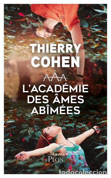 books: L'acad&eacute;mie des &acirc;mes ab&icirc;m&eacute;es- 9782259263320