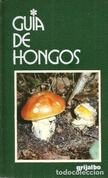 Livres: Gu&iacute;a de Hongos- 9788425313332
