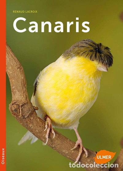 Livros em segunda m&atilde;o: Canaris- 9782841389384