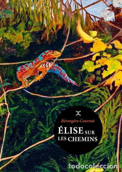 Livros em segunda m&atilde;o: Elise sur les chemins- 9782370554765