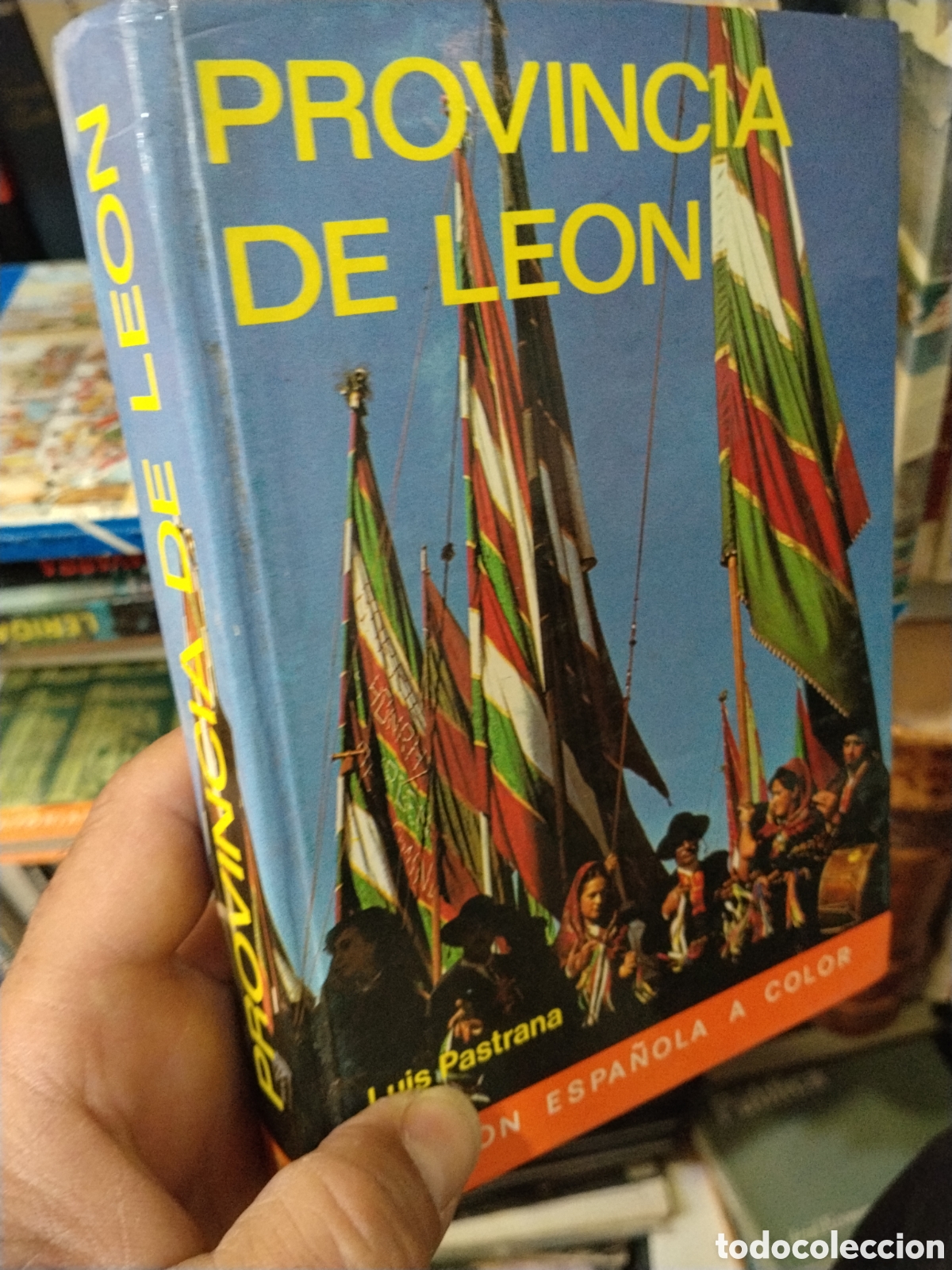 Libros: PROVINCIA DE LEON - LUIS PASTRANA
