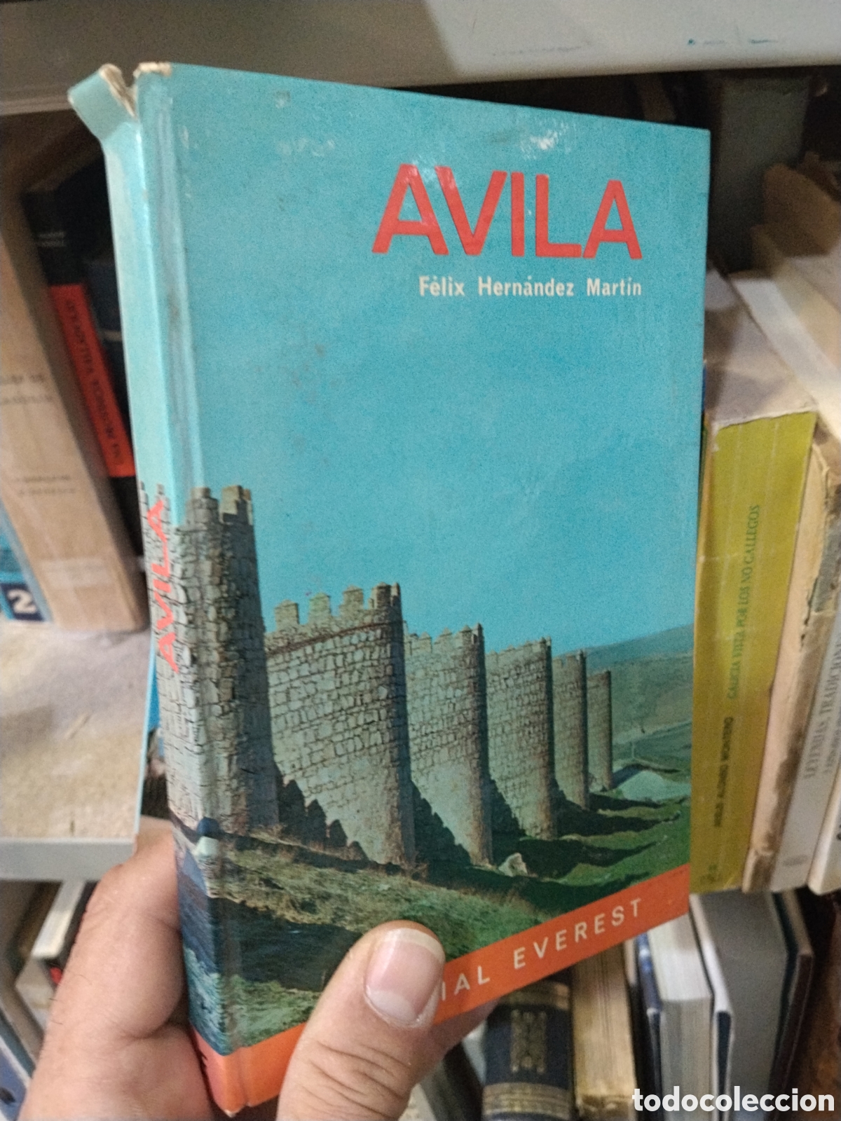 Libros: AVILA - FELIX   HERNANDEZ   MARTIN