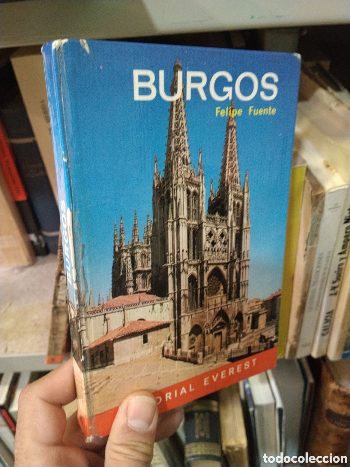 Libros: BURGOS - FUENTE, Felipe