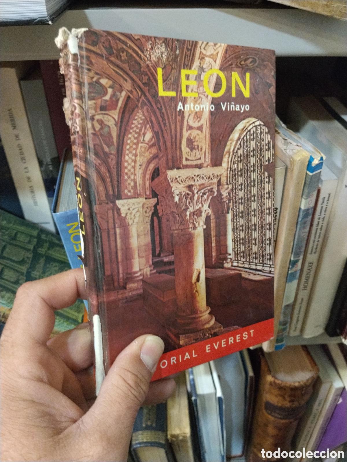 Libros: LEON  - VI&Ntilde;AYO  , Antonio