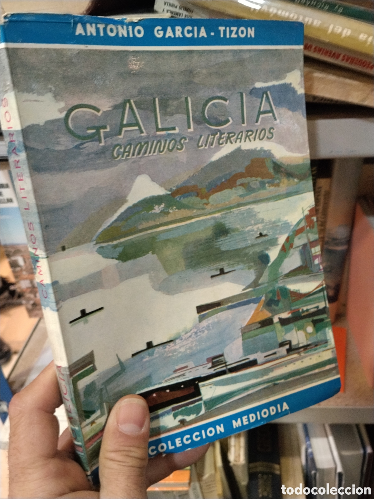 Libros: GALICIA   CAMINOS LITERARIOS   - ANTONIO  GARCIA TIZON