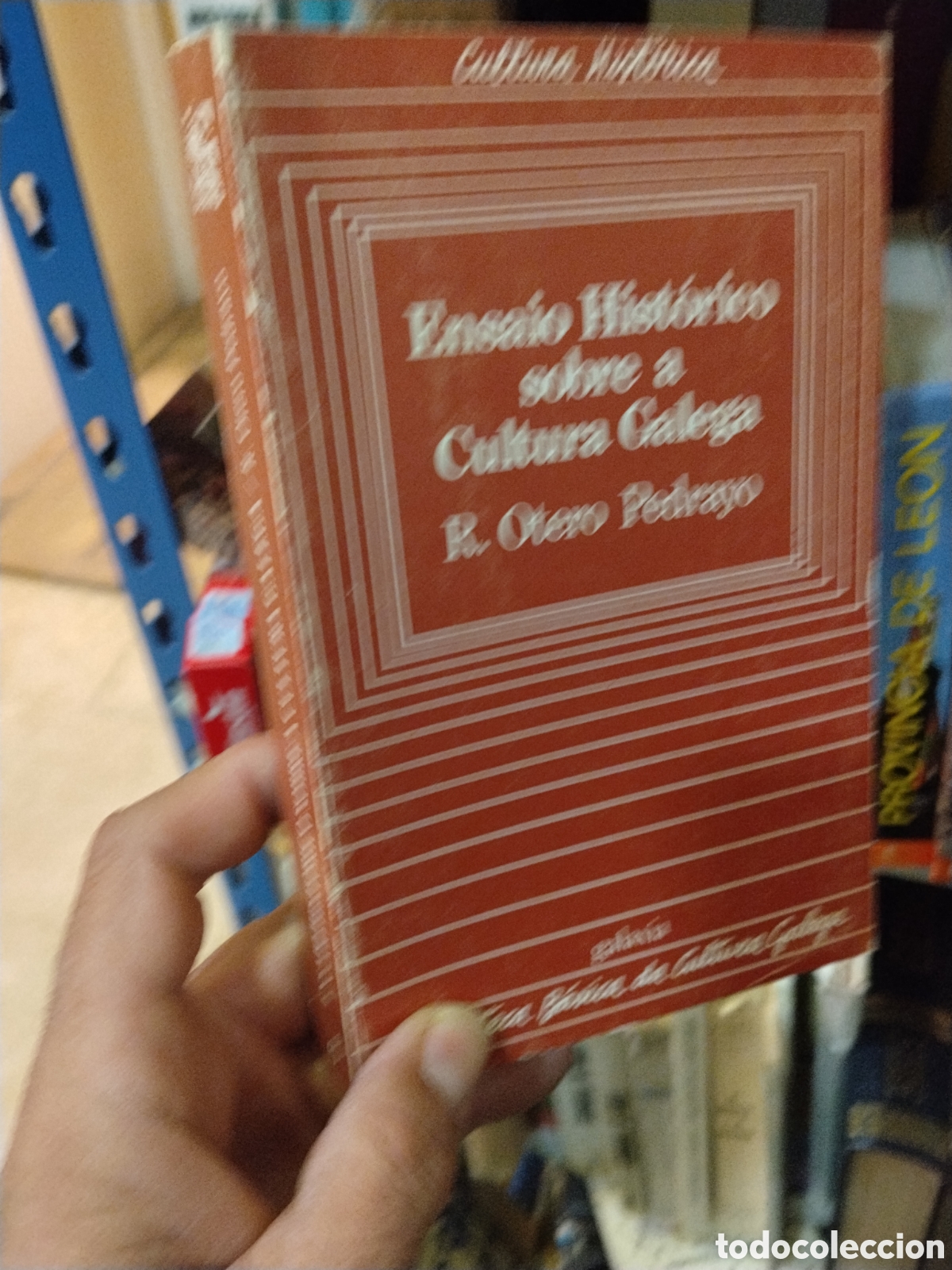 Libros: Ensaio Historico sobre a Cultura Galega - R. Otero Pedrayo