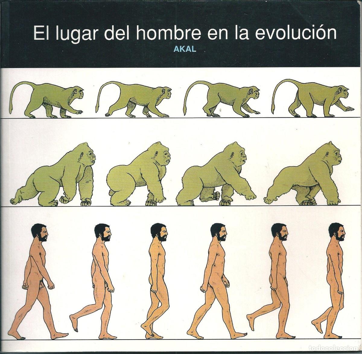 B&uuml;cher: EL LUGAR DEL HOMBRE EN LA EVOLUCI&Oacute;N. - British Museum