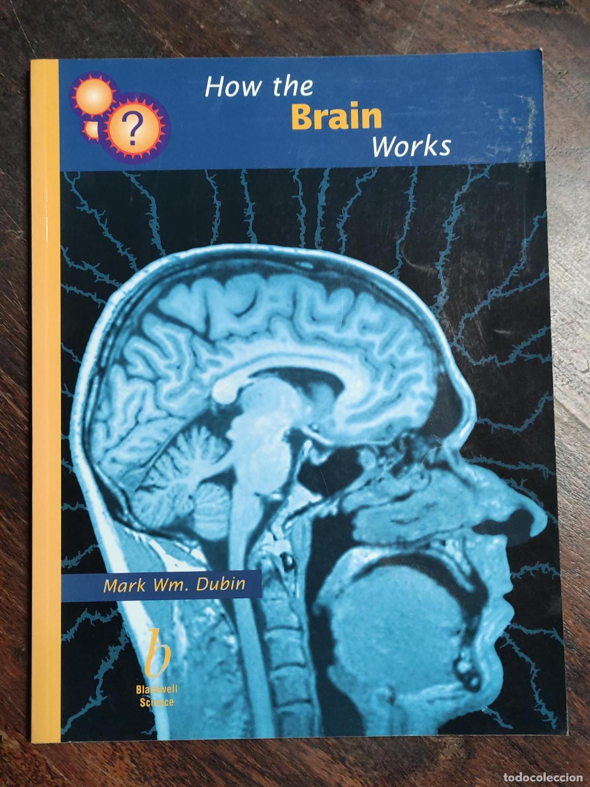 Libri di seconda mano: HOW THE BRAIN WORKS (HOW IT WORKS SERIES) DUBIN, MARK -