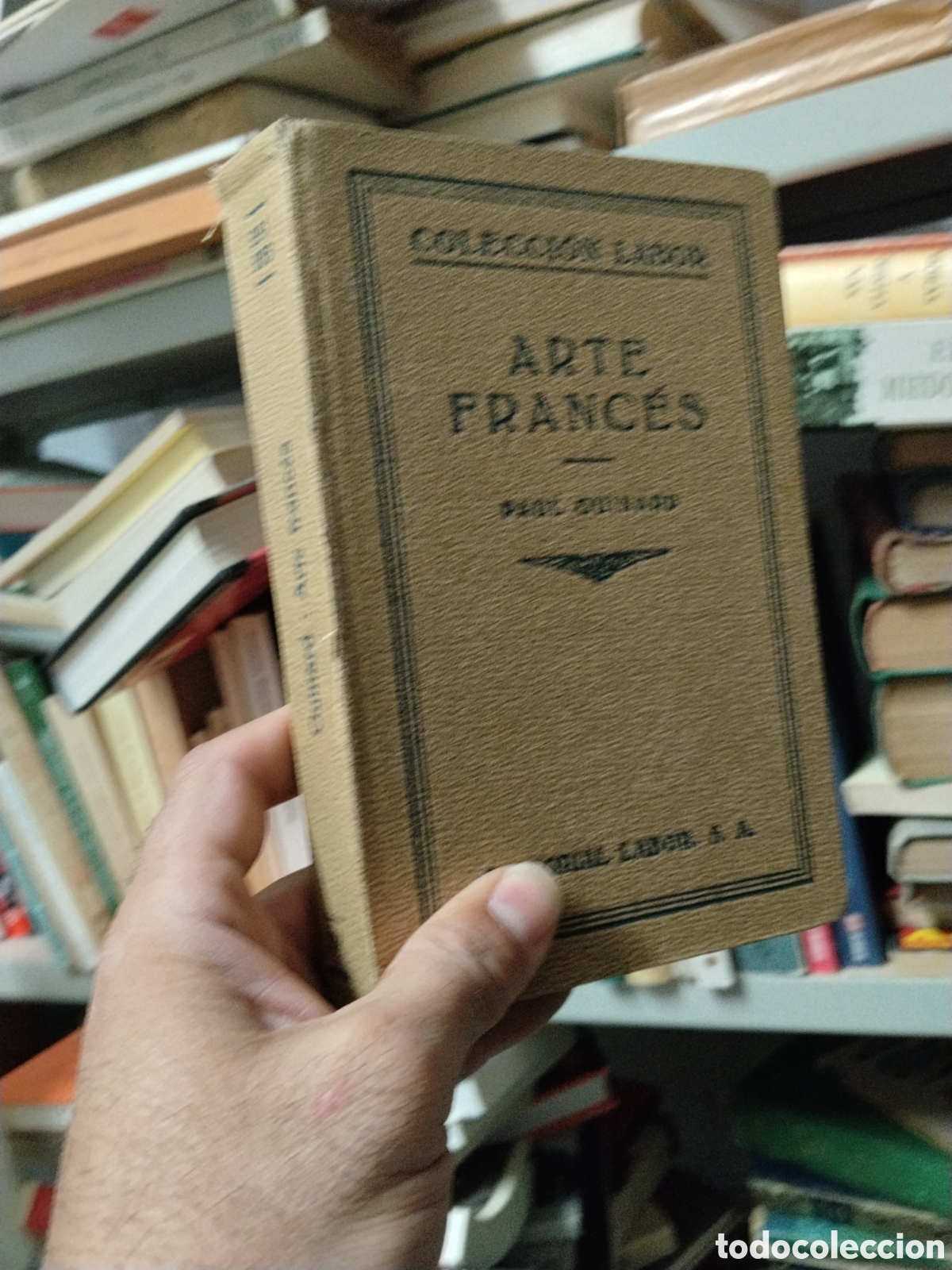 Libros: ARTE FRANCES - GUINARD, Paul