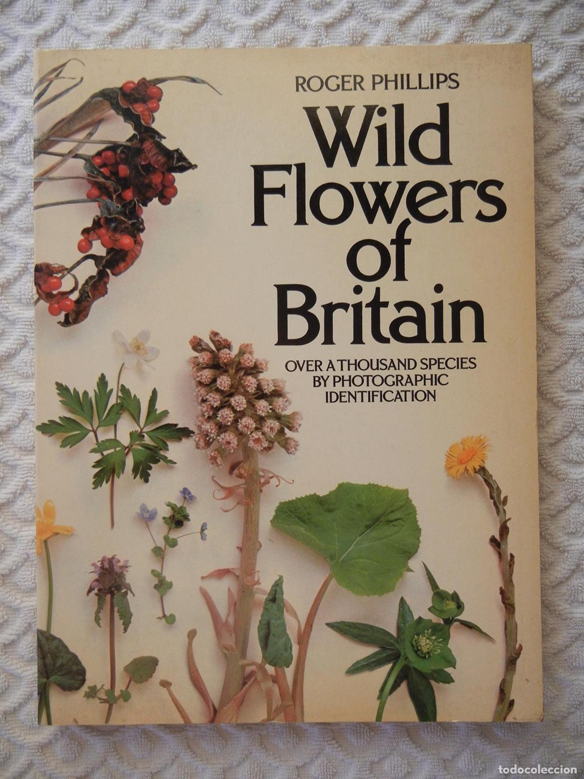 Libros: WILD FLOWERS OF BRITAIN - OVER A 1000 SPECIES BY PHOTOGRAPHIC IDENTIFICATION [TAPA BLANDA] ROGER PHI