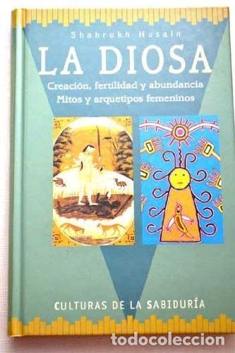 B&uuml;cher: LA DIOSA [TAPA BLANDA] HUSSAIN, SHAHRUKH -