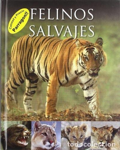 books: FELINOS SALVAJES [TAPA BLANDA] -