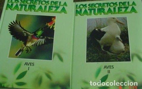 Livres: SECRETOS DE LA NATURALEZA, LOS. LAS AVES. [TAPA DURA] ALONSO, FERNANDO . ALONSO, JOSEFA -