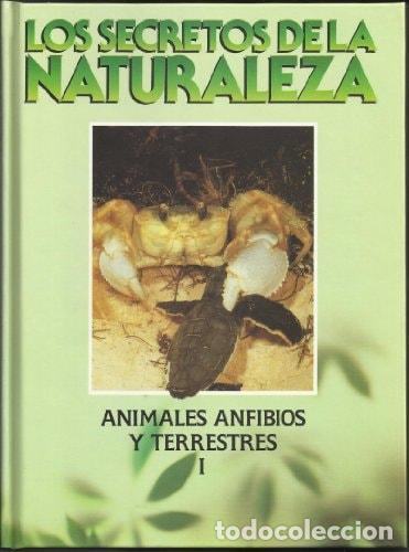 Libri di seconda mano: SECRETOS DE LA NATURALEZA,LOS.ANIMALES ANFIBIOS Y TERRESTRES. [TAPA DURA] ALONSO, JOSEFA -