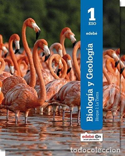 Livros em segunda m&atilde;o: BIOLOG&Iacute;A Y GEOLOG&Iacute;A 1 - Edeb&eacute;, Obra Colectiva