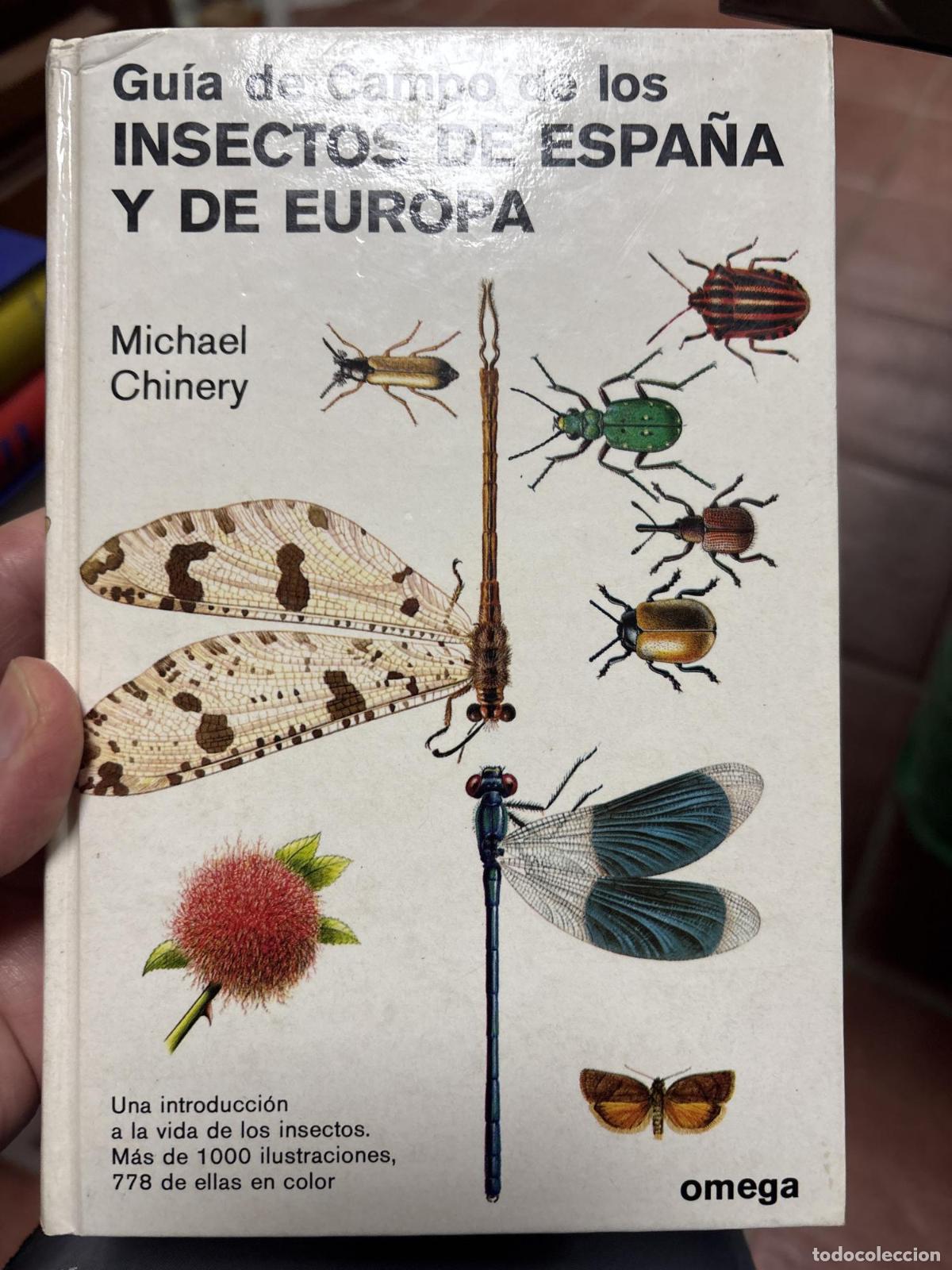 B&uuml;cher: GUIA CAMPO INSECTOS DE ESPA&Ntilde;A Y EUROPA - Chinery, Michael
