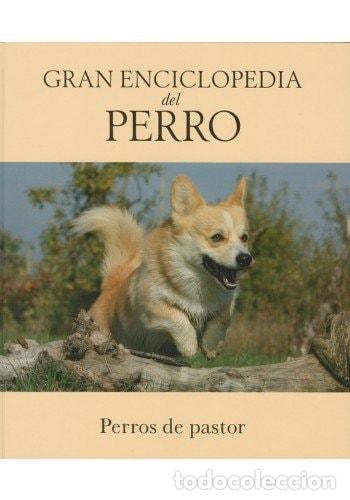Livres: GRAN ENCICLOPEDIA DEL PERRO: 3 - PERROS DE PASTOR [TAPA BLANDA] JOSE MIGUEL DOVAL -