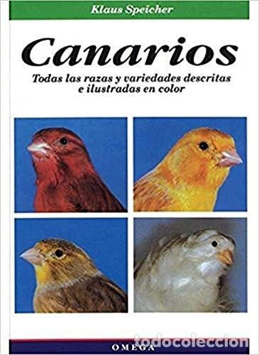 Livros em segunda m&atilde;o: Canarios - Klaus Speicher