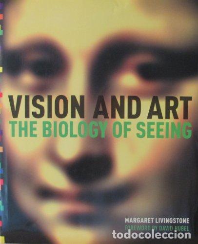Libros: Vision and Art: The Biology of Seeing - Livingstone, Margaret