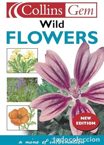 Livres: Wild Flowers (Collins Gem) - Walter, Martin