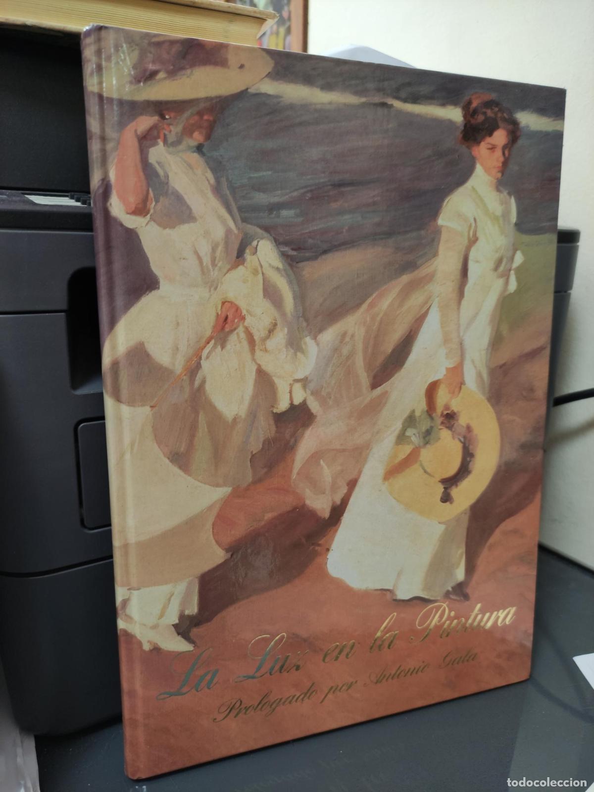 Libros: LA LUZ DE LA PINTURA PROLOGADO POR ANTONIO GALA -