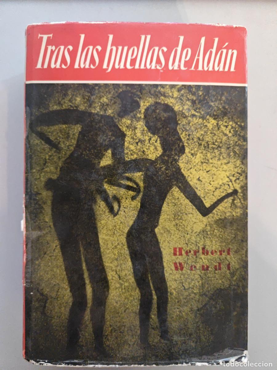 Libros: TRAS LAS HUELLAS DE AD&Aacute;N. - HERBERT WENDT. TDK612 - Foto 1