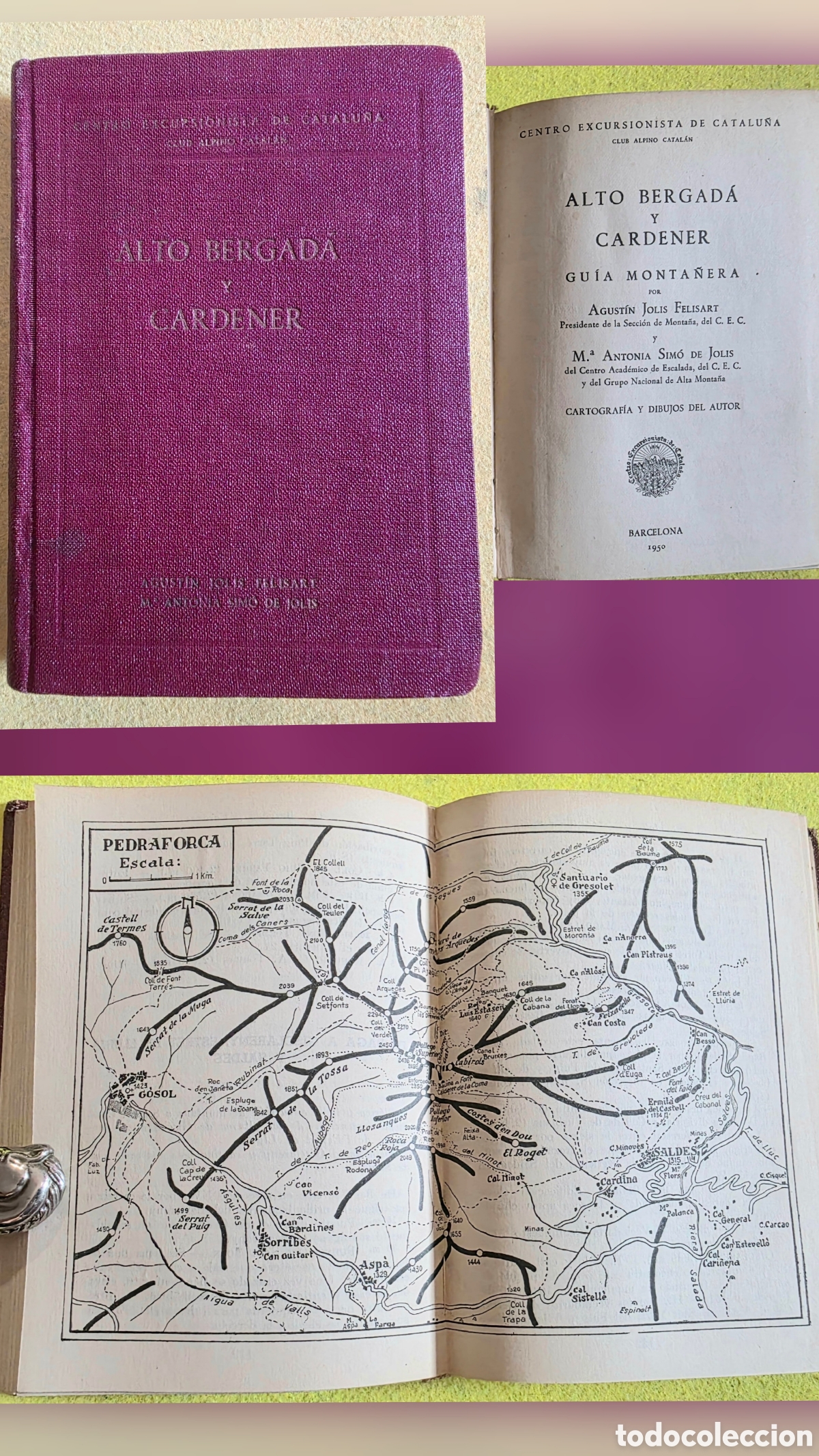 Livres: Alto bergad&agrave; i cardener.