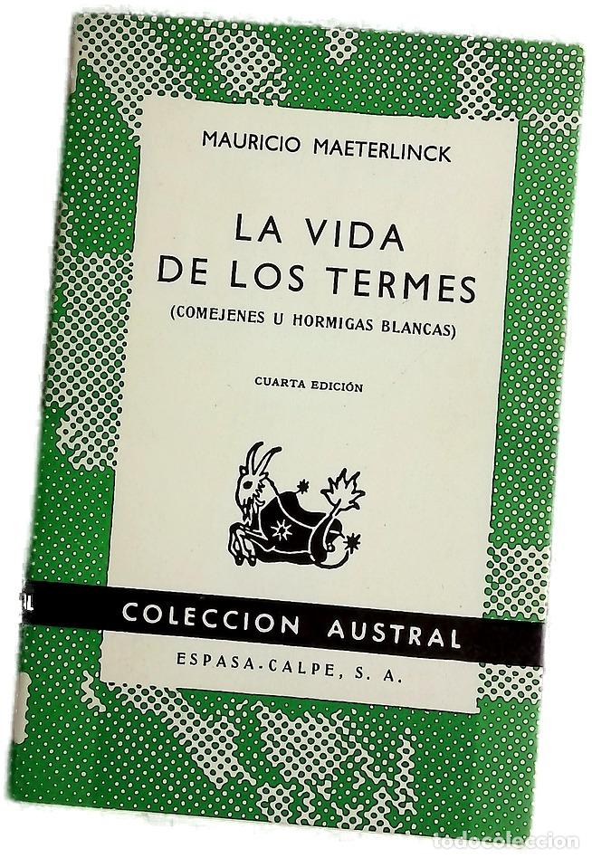 Livres: La vida de los termes (Comejenes u hormigas blancas)