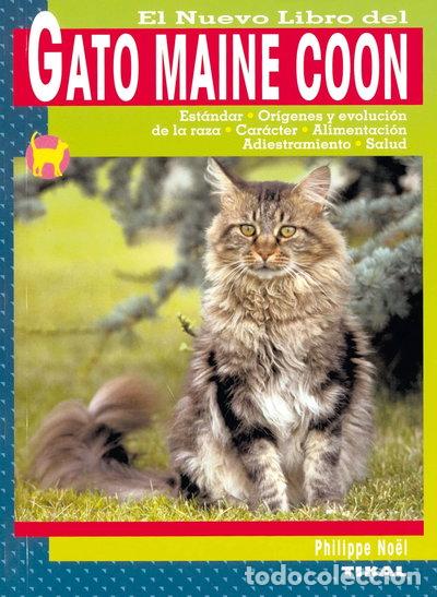 Libros: Gato Maine Coon- 9788430549924