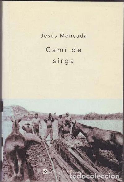 Libri di seconda mano: Cam&iacute; de sirga- 9788482643113