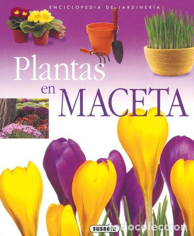 Livres: Plantas en maceta- 9788430567584