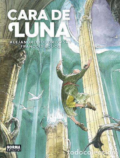 Libros: Cara de Luna- 9788467941333